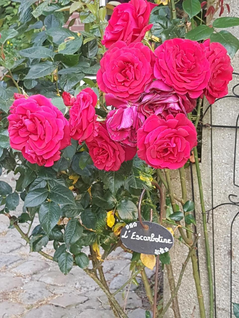 Bed and Breakfast L'Escarbotine Friville-Escarbotin Exterior foto